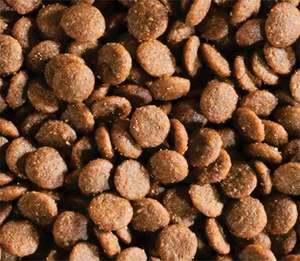 מוצרים אחרונים במפעל סיטונאי פופולרי מוצרים מאוזנת מזון יבש חלבון כלב יבש - Product Image 3