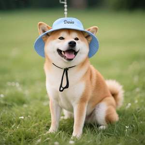 Blauer Polyester Luxus Kleintiere Hunde kostüm Eimer Hut für Katzen und Hunde - Product Image 2