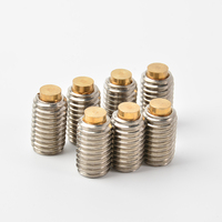 304 Stainless Steel Brass Tip Set Screw M3-M16 Hex Socket Grub Screw for Precision Positioning and Non-Marring Locking