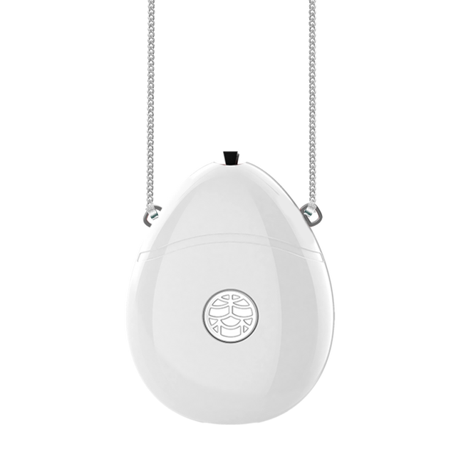 Personal Portable Rechargeable Wearable Negative Ion Generator Necklace Air Purifier