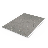 Étincelle blanche platine avec 2 incrustations de ruban Carrelage de plafond en PVC à rainure en V pour revêtement de panneau de salle de bain douche murale humide