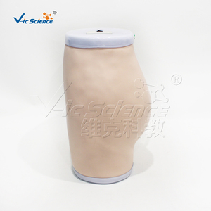 Modèle anatomique comparatif pour <span class=keywords><strong>injection</strong></span> <span class=keywords><strong>intramusculaire</strong></span> fessière avancée, présentation pour instructeurs infirmiers, outil de formation médicale - Product Image 6