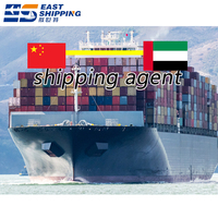 Transporteur chinois Expédition DDP vers les EAU Agent de transport Fret maritime maritime Fcl Lcl Services logistiques Expédition vers les EAU