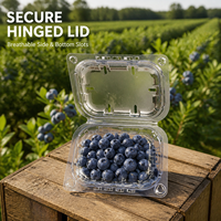 Conteneur en plastique transparent ventilé en RPET recyclé, écologique, capacité 150g, prêt à être expédié, pour l'emballage des fruits