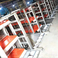Bande transporteuse en PVC résistant aux hautes températures pour l'évacuation automatique du fumier de volaille (poulet, canard, oie, caille, dinde)