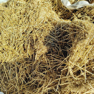 Fabricante proveedor alta calidad cobre chatarra especificación - Product Image 5