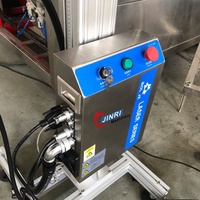 Machine d'imprimante de date de laser de bouteille en verre de bière