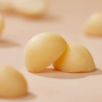 Wholesale Snacks Nut Snack for Lady Yummy Roasted Macadamia Nuts