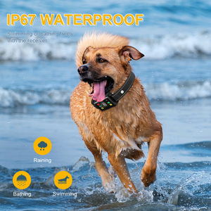 <span class=keywords><strong>Collar</strong></span> de perro antiladrido recargable impermeable IP67 con características de vibración y choque hecho de plástico duradero - Product Image 3