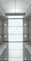 Ascensore Passeggeri Fareo FLA-K88 Moderno in Acciaio Inox Senza Ingranaggi, Sicuro e Facile da Installare, per Appartamenti e Centri Commerciali