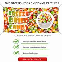Vente en gros Marque privée Congelés à mâcher halal- (6oz) Bonbons lyophilisés aux fruits assortis pour Pâques