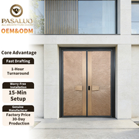 Portes d'entrée extérieures en acier sécurisées, design créatif OEM PSL 2026, pour maisons, villas résidentielles