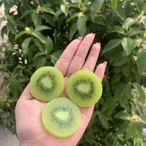 Rebanadas de Kiwi Artificiales de PVC Realistas, Pequeñas e Irregulares, Decoración de Frutas Falsas, Modelo de Comida Simulada Verde, DIY 1:1 - Product Image 5