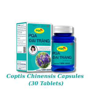 Cápsulas de Gelatina Dura de Coptis Chinensis - 36 Meses de Vida Útil, 30 Cápsulas, Tomar 3 Veces al Día, Apoya la Salud Gastrointestinal - Product Image 2