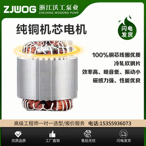 Pompe centrifuge verticale multi-étages Zhejiang Wogong CDLF 8 en acier inoxydable et fonte, équipement d'alimentation en eau électrique - Product Image 2