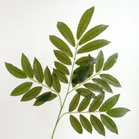 Feuilles de citron artificielles de haute qualité en plastique souple pour la décoration de mariages, la maison et l'aménagement paysager intérieur/extérieur