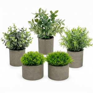 Planta Artificial en Maceta Pequeña para Decoración de Sala de Estar, Oficina, Entrada, Vinoteca - Product Image 1