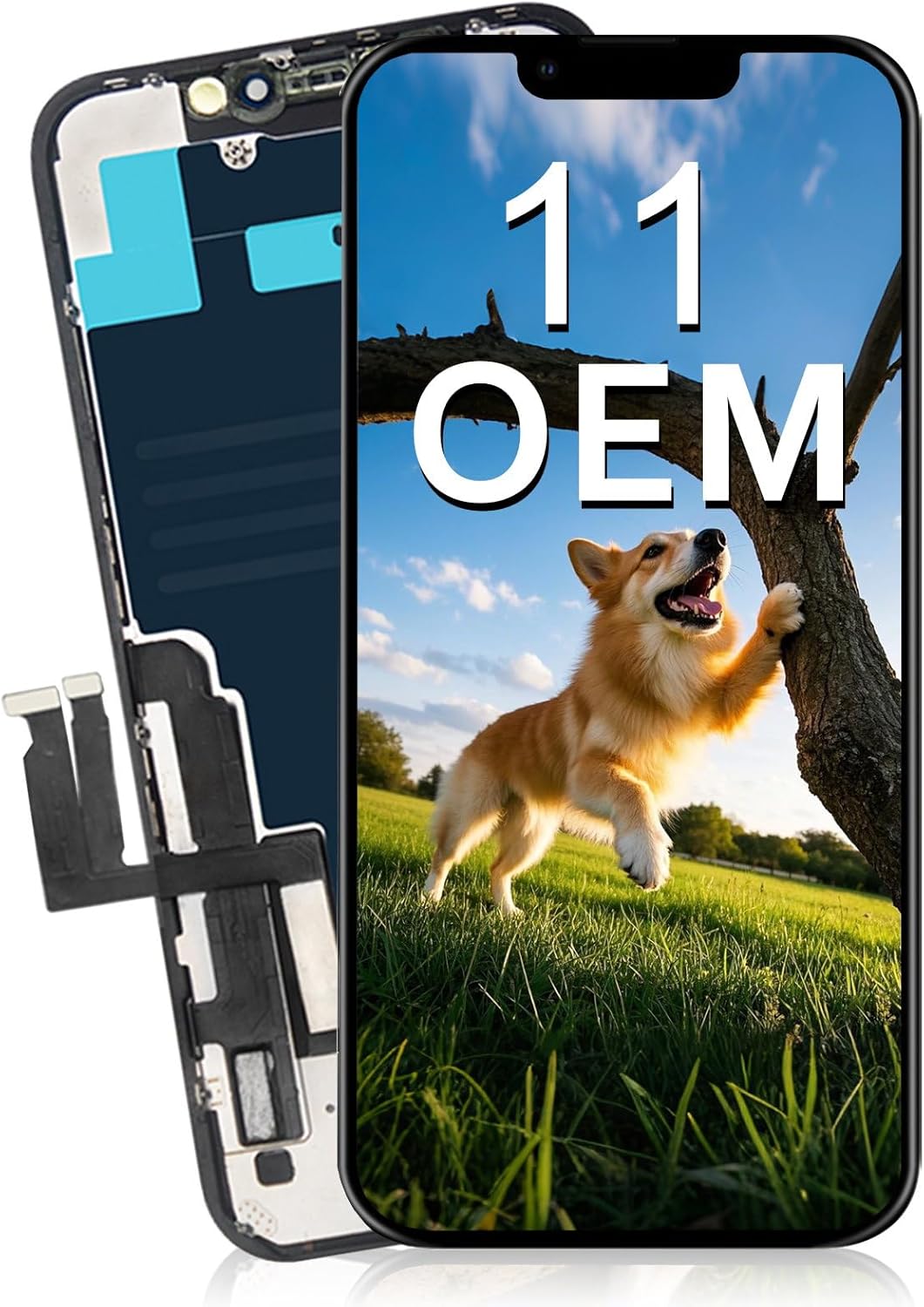 11 pro max oled