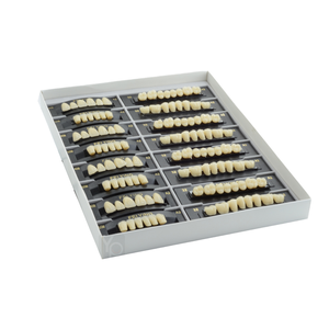 Prothèse <span class=keywords><strong>dentaire</strong></span> manuelle en résine acrylique <span class=keywords><strong>artificielle</strong></span>, dents antérieures et postérieures, incisives, molaires - Product Image 1