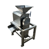 Industriële fruit- en groentepit-, meng- en pulpmachine voor kersen, mango's, longans, pruimen en pruimen, roestvrij staal, 380V, 1500W, 1 jaar garantie