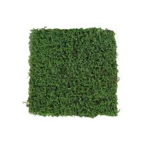 Gazon artificiel pour extérieur et intérieur, tapis de gazon synthétique réaliste et économique pour plantes artificielles, idéal pour les terrains de football et la photographie.