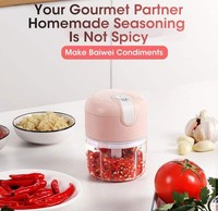 Fv09 Gratis Handheld 250Ml Cup Keuken Knoflook Vlees Plantaardige Batterij Aangedreven Usb Draadloze Mini Elektrische Voedsel Chopper