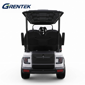 Voiturette de golf électrique confortable et économique, 2 places, 48V, pour routes non publiques - Product Image 5