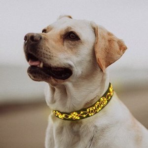 An toàn & thoải mái sạc LED ánh sáng chó cổ áo bền Polyester vật nuôi phụ kiện an toàn khóa đóng cửa cho ban đêm đi bộ - Product Image 4