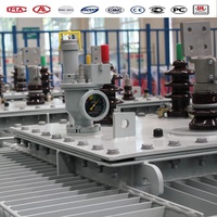 Transformateur triphasé immergé dans l'huile polyvalent 1000 10/0.4kv pour les acheteurs mondiaux