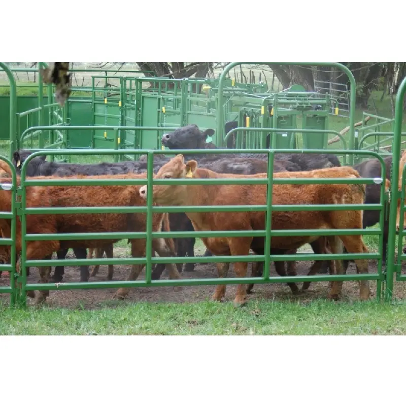 Лидер продаж в Канаде, США, высокопрочная ограда для домашнего скота длиной 12 футов, оцинкованная, для лошадей, овец, крупного рогатого скота, коз, Заводская круглая ручка