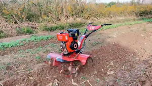 Cultivadora Rotativa de <span class=keywords><strong>Gasolina</strong></span> con Tracción en las 4 Ruedas AHCF, Precio de Fábrica, Gran Oferta, con 1 Año de Garantía - Product Image 4