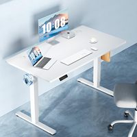 Bureaux debout électriques modernes blancs de 48 pouces à hauteur réglable pour le jeu, l'ordinateur, le bureau, la maison, l'étude et l'écriture, avec pieds antidérapants
