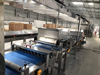 Machine automatique de fabrication de gâteaux suisses blancs prix machine de cuisson de gâteaux pour l'usine