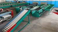 Commerciële Mango Sorteermachine, Oranje- en Citroensorteermachine, 10 gradaties fruit sorteermachine
