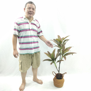 Décoration artificielle de haute qualité simulation de bonsaï <span class=keywords><strong>en</strong></span> plastique Codyline 90cm 32 feuilles couleur d'<span class=keywords><strong>automne</strong></span> - Product Image 2