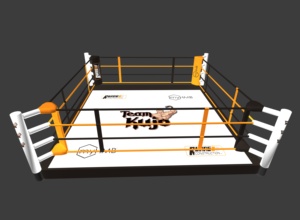 Équipement <span class=keywords><strong>de</strong></span> combat commercial <span class=keywords><strong>de</strong></span> haute qualité, pliable rapidement, pour salle <span class=keywords><strong>de</strong></span> sport, <span class=keywords><strong>boxe</strong></span>, MMA, <span class=keywords><strong>ring</strong></span> pliable - Product Image 5