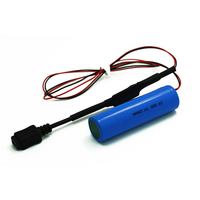 Lithium Cell 18650 Batteries Pack Li Ion 2200mAh 5V Rechargeable Battery with Usb