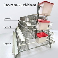 Cage à poules pondeuses de type A, conception personnalisée, galvanisée à chaud, cage en batterie à 3/4 niveaux pour ferme avicole, directement de l'usine