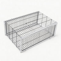 Piège à pigeons en fer, cage à porte automatique unidirectionnelle, attrape-oiseaux pour le contrôle des pigeons en extérieur