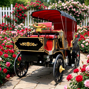Chariot de tourisme à vendre – Vente directe usine – Noir et rouge – Haute qualité – Idéal pour mariages et excursions touristiques - Product Image 1