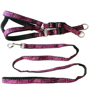 Hot New Dog Pet Accessories Products Nylon Dog Lead Collars and Leashes for Outdoor Activities