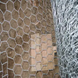 2024 China supplier Hot dipped galvanized hexagonal wire net mesh price