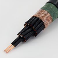 Cable de Control Flexible de Cobre KVVR 450/750V, Longitud Personalizada, Bajo MOQ, para Cableado de Paneles Eléctricos y Conexión de Equipos