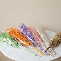 Plantes stabilisées en gros tout-en-un, forme feuille de saule, pour remplissage floral séché de style bohème pour bouquets de mariage DIY