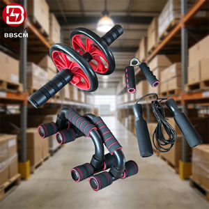 Kit Rouleau Abdominal 6-en-1 en Gros – Équipement d'Entraînement à Domicile Très Vendu pour Femmes avec Barre de Poussée - Product Image 1