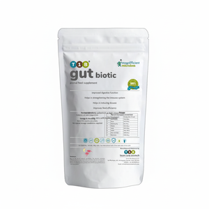 Aditivos probióticos para alimentación animal de salud digestiva para una nutrición óptima - Product Image 1