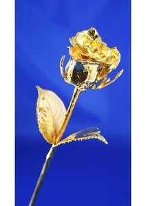 ดอกกุหลาบธรรมชาติเคลือบทอง 24K บรรจุภัณฑ์หรูหรา ของตกแต่งดอกไม้จริง ของขวัญสำเร็จการศึกษา วันพ่อ งานแต่งงาน ของขวัญสุดโรแมนติก - Product Image 2