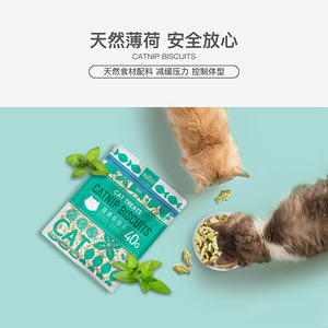 Yihe Catnip <b>Biscuits</b> 40g Cat Treats For Teeth Cleaning And Grinding - Product Image 1