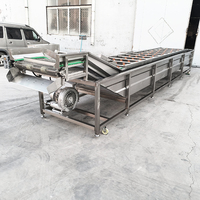 YOUBAN Automatische 304 RVS Belletjeswasmachine Industriële Groente- en Fruitwasser voor Voedselverwerkingslijn