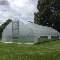Serre tunnel agricole monopente en acier galvanisé avec bâche PE pour grandes surfaces de culture de légumes